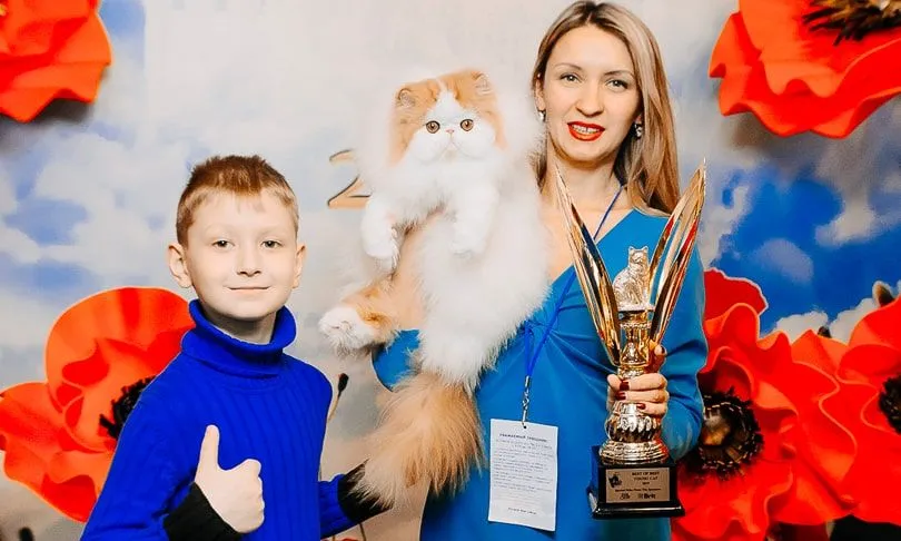Котенок-min.jpg